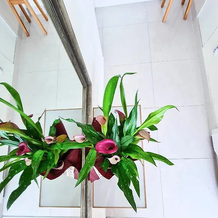 Apartamento By The Sea - Kosciuszki Square *